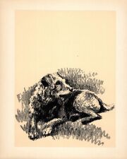 Vintage airedale terrier for sale  Harborton