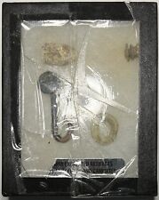 Civil war ear for sale  Newport Beach