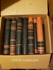 2500 2in nursery for sale  Cocoa