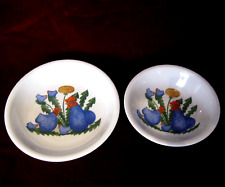 Seltmann weiden vintage gebraucht kaufen  Gangkofen