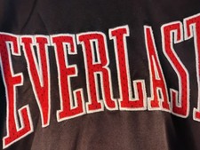 Everlast hoodie everwarm for sale  Zolfo Springs