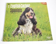 Vintage english cocker for sale  NESTON