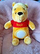 Disney winnie the gebraucht kaufen  Weißenhorn