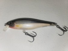 Rapala minnow lure for sale  Athens