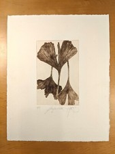 Radierung ginko biloba gebraucht kaufen  Deutschland