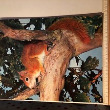 Carte postale géante d'occasion Carte postale géante d'occasion  Montluçon