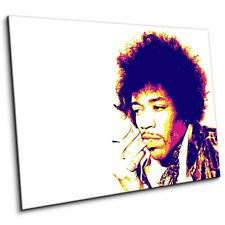 Jimi hendrix print for sale  NELSON
