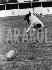 Vintage regno unito usato  Roma
