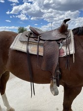Inch simco western for sale  Buhl