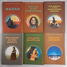 Buch söhne großen gebraucht kaufen  Leipzig