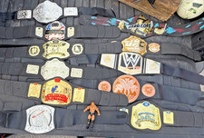 Lot wwe jakks for sale  Ames