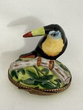 Stunning toucan bird d'occasion  Expédié en Belgium