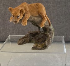 Teviotdale lion cub for sale Teviotdale lion cub for sale  WALSALL