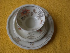Sammelgedeck teilig sammeltass gebraucht kaufen  Bad Camberg