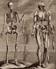 1731 folio menschliches gebraucht kaufen  Diez