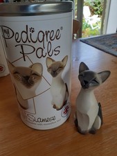 Pedigree pals siamese for sale  STAFFORD