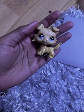 Lps littlest pet for sale  Henderson