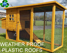 Eco 2000 chicken for sale  UK