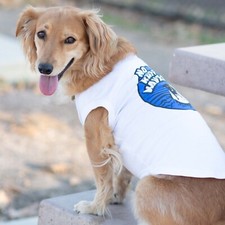 Usado, Lote de 110 camisas de surf para cães, serve para cães grandes e pequenos, feira de filhotes de revenda por atacado comprar usado Usado, Lote de 110 camisas de surf para cães, serve para cães grandes e pequenos, feira de filhotes de revenda por atacado comprar usado  Enviando para Brazil