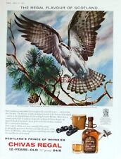 CHIVAS REGAL Scotch Whisky Osprey ADVERT - Impressão original 1963: 626/B comprar usado  Enviando para Brazil