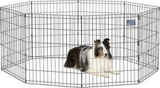 Midwest homes pets for sale  USA