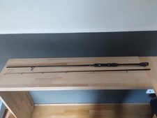 Barsch spinnrute 10m gebraucht kaufen  Hamm