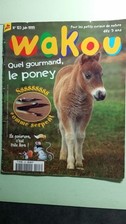 Wakou nº123 juin d'occasion Wakou nº123 juin d'occasion  Joinville