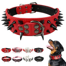 Collier à clous et pointes en PU cuir pour chien Collier rottweiler pitbull S-XL na sprzedaż  Wysyłka do Poland