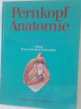 Pernkopf anatomie menschen gebraucht kaufen  Berlin