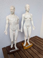 Naturheilkunde & Chiropraktik gebraucht kaufen  Birgland