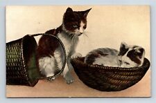 Kitten sleeping basket for sale  Marine City