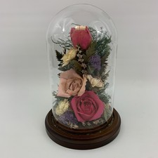 Natural expressions vintage for sale  North Canton