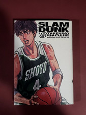 slam dunk d visual usato  Torricella