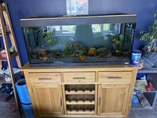 Fluval 4ft aquarium for sale  HORSHAM