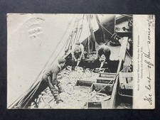 Usado, Cartão postal antigo B38 pescadores embalando peixes em um barco de pesca arrastão a vapor comprar usado  Enviando para Brazil
