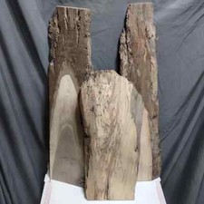 Live edge kiln for sale  Louisa