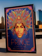 Prince 2013 san for sale  Stow