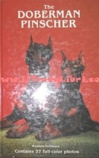 The doberman pinscher usato  Italia