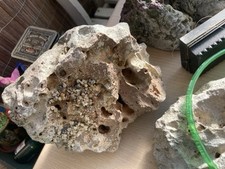 Aquarium echter stein gebraucht kaufen  Rosenheim