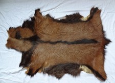 Echtes fell ziegenfell gebraucht kaufen Echtes fell ziegenfell gebraucht kaufen  Berg b.Neumarkt i.d.OPf.