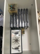 Insects bugs scorpions for sale  HULL