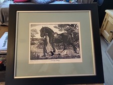Shire stallion wood for sale  LISKEARD