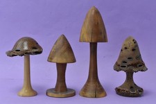 toadstools for sale toadstools for sale NORTHAMPTON