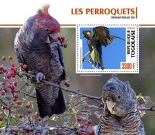 Folha de carimbo PARROTS pássaros/pássaros MNH 1v #1410 (2020 Togo) comprar usado Folha de carimbo PARROTS pássaros/pássaros MNH 1v #1410 (2020 Togo) comprar usado  Enviando para Brazil