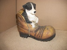 Cute border collie for sale  HOLSWORTHY
