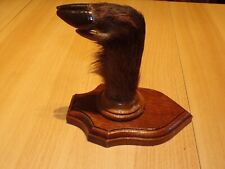 Trophée sabot sanglier d'occasion  Ciry-le-Noble