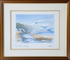 Geoffrey cowton winter for sale  HULL