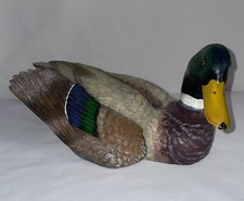 Mallard duck inches for sale  Seattle