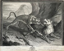 Attaque féroce gravure d'occasion  Artigues-près-Bordeaux