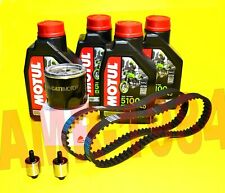 Cinghie distribuzione ducati usato  Urbisaglia
